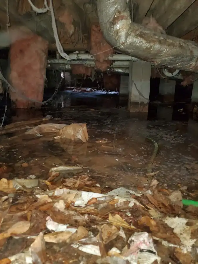 Crawl space flood assessment for Leak Detection & Repair in Edgewater
